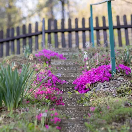 بيت للعطل Hiska Pod Rudnico 1 بوتْشيترتيك